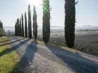 Dawn Landscape in Tuscany, Italy: Clear Sky and Stunning Views