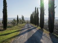 Dawn Landscape in Tuscany, Italy: Clear Sky and Stunning Views