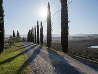 Dawn Landscape in Tuscany, Italy: Clear Sky and Stunning Views