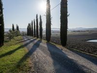 Dawn Landscape in Tuscany, Italy: Clear Sky and Stunning Views