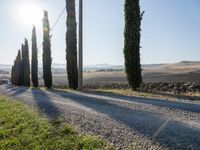 Dawn Landscape in Tuscany, Italy: Clear Sky and Stunning Views