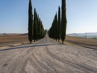 Dawn Landscape in Tuscany: A Rural Road