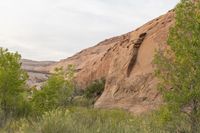 the area has red rocks, green plants and some trees in it, which is the color of red