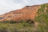 the area has red rocks, green plants and some trees in it, which is the color of red