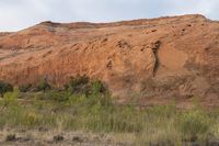 the area has red rocks, green plants and some trees in it, which is the color of red