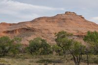 the area has red rocks, green plants and some trees in it, which is the color of red