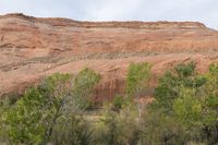 the area has red rocks, green plants and some trees in it, which is the color of red