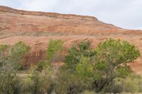 the area has red rocks, green plants and some trees in it, which is the color of red