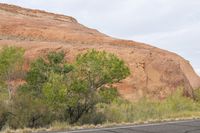 the area has red rocks, green plants and some trees in it, which is the color of red