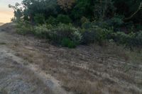 the dirt is in between some trees and bushes as sun rises above the hills to the left