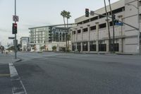 Dawn in Los Angeles: A View of the City