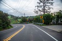 a narrow road with many yellow traffic signs and trees in the background on a cloudy day