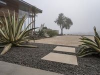 Dawn in Los Angeles: A Grey Sky Landscape