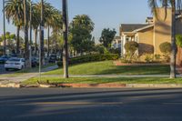 a road in the neighborhood with cars parked near the curb and palm trees on either side