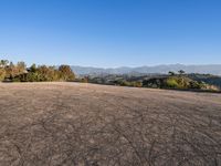 Dawn in Los Angeles: An Urban Cityscape