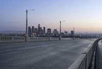 Dawn Metropolis Cityscape with Skyscrapers