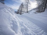 Dawn on a Mountain Road in Europe