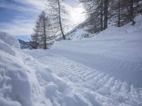 Dawn on a Mountain Road in Europe