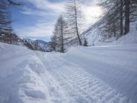Dawn on a Mountain Road in Europe