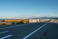 a fence with a white horse on top of it in the middle of the road