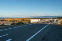 a fence with a white horse on top of it in the middle of the road