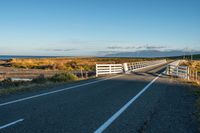 a fence with a white horse on top of it in the middle of the road