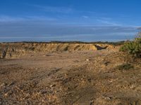 an animal is standing on the dirt in front of a cliff and some sand, trees and rocks