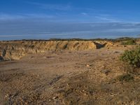 an animal is standing on the dirt in front of a cliff and some sand, trees and rocks