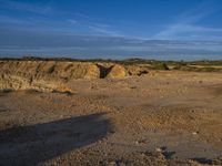 an animal is standing on the dirt in front of a cliff and some sand, trees and rocks