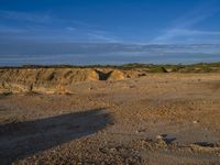 an animal is standing on the dirt in front of a cliff and some sand, trees and rocks