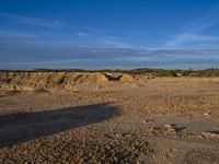 an animal is standing on the dirt in front of a cliff and some sand, trees and rocks