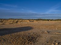 an animal is standing on the dirt in front of a cliff and some sand, trees and rocks