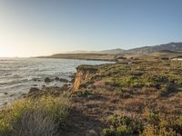 a grassy field by the shore and a cliff with rocks in the ocean in the background