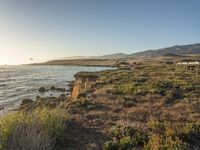 a grassy field by the shore and a cliff with rocks in the ocean in the background