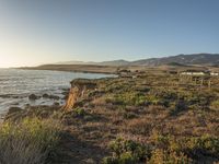 a grassy field by the shore and a cliff with rocks in the ocean in the background