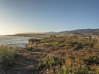 a grassy field by the shore and a cliff with rocks in the ocean in the background