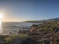 a grassy field by the shore and a cliff with rocks in the ocean in the background