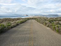 Dawn on the Road: California Landscape