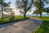 pathway with grass and trees along beach with clear blue water in background and sun shining through tree