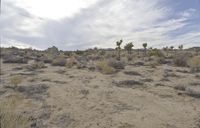 Dawn Over the California Desert Road