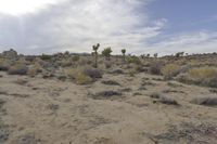 Dawn Over the California Desert Road