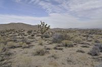 Dawn Over the California Desert Road