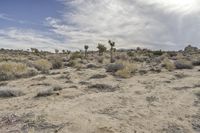 Dawn Over the California Desert Road