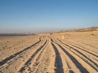 a large sandy area with tire tracks on it and some people walking in the distance