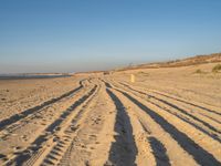 a large sandy area with tire tracks on it and some people walking in the distance