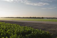 Dawn Over Rural Canadian Landscape: A Serene and Peaceful View