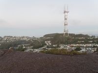 Dawn Over San Francisco Bay Area: A Breathtaking View From Above