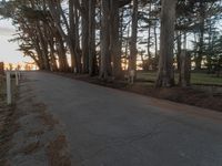 Dawn over Suburban Road in San Francisco, California, USA