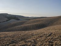 a man on horseback riding down a hill covered with rolling hills and dry grass, with trees in the distance