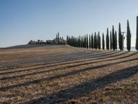 Dawn Over the Tuscan Landscape in Italy